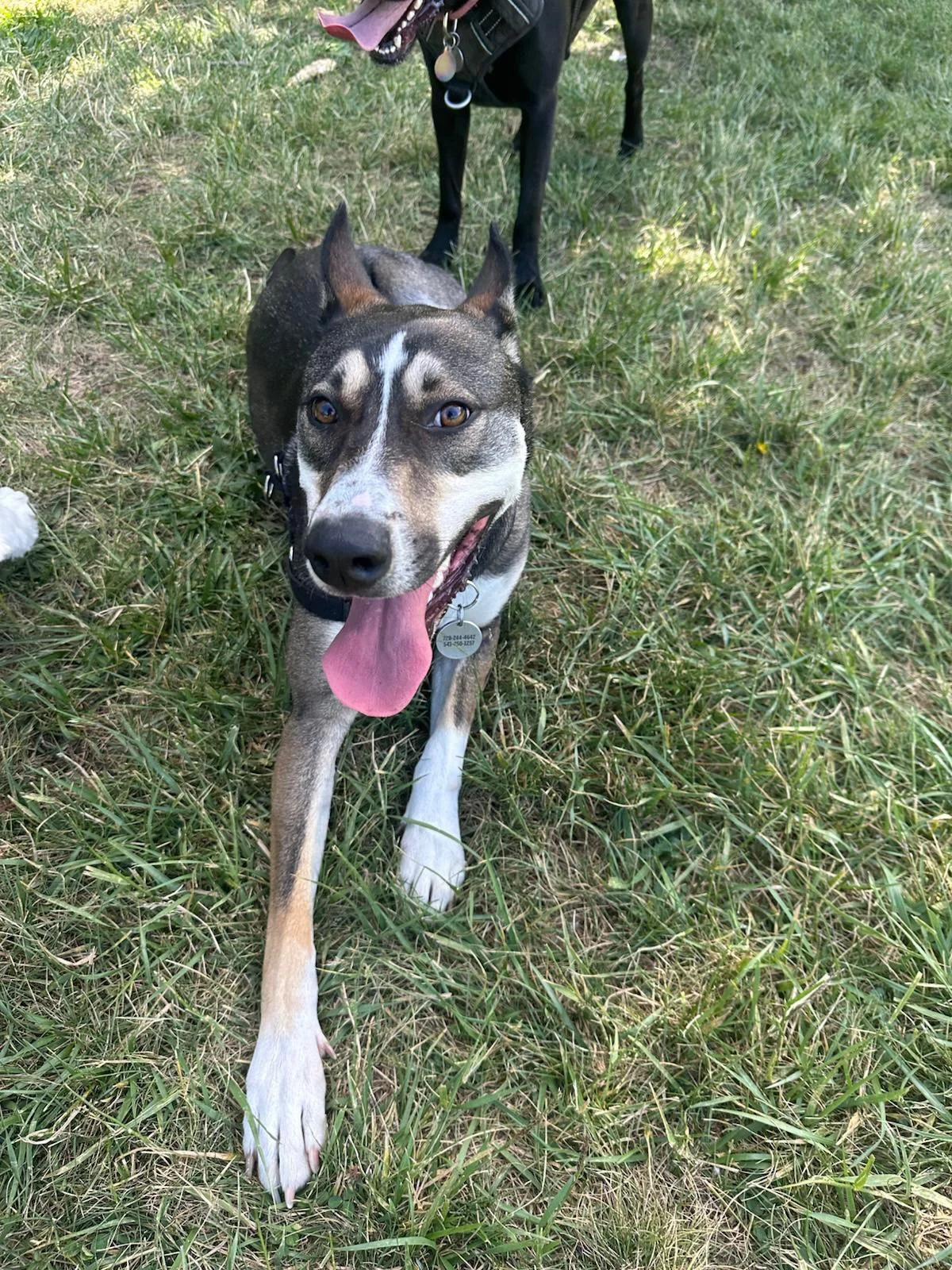 PHOTO-2025-05-22-16-51-31 3.jpeg