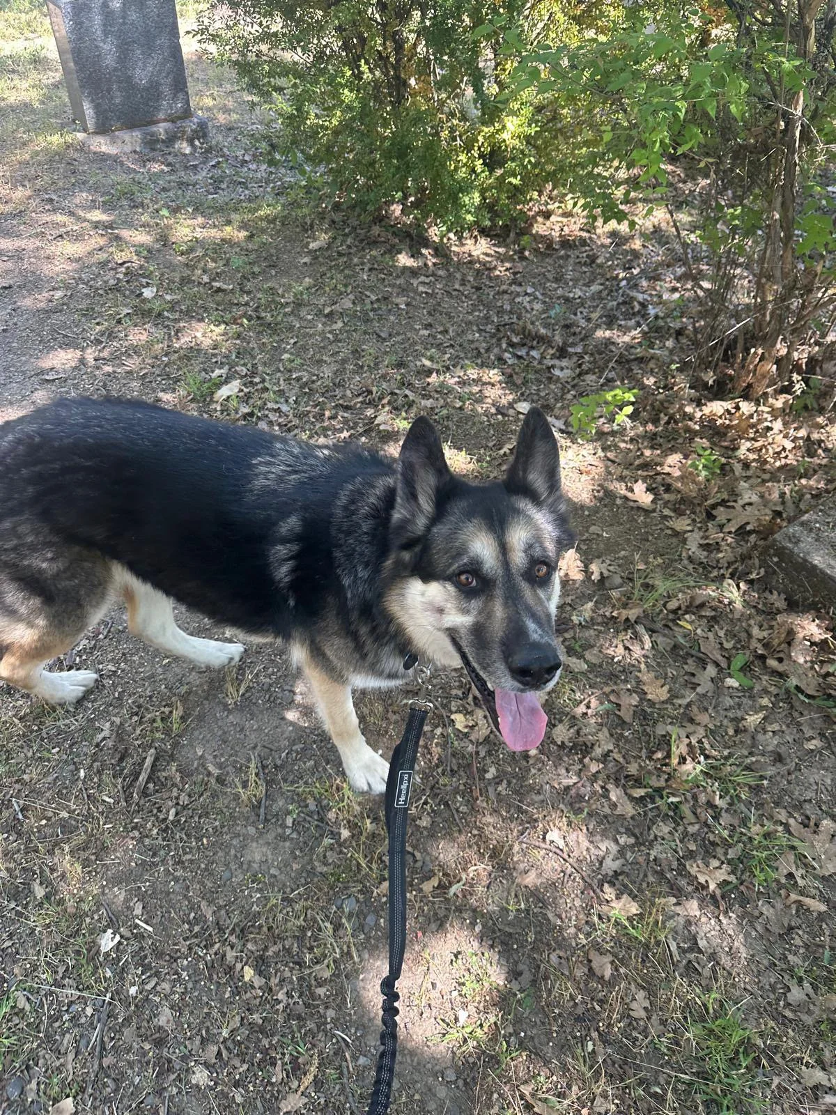 PHOTO-2025-05-23-18-43-12 2.jpeg