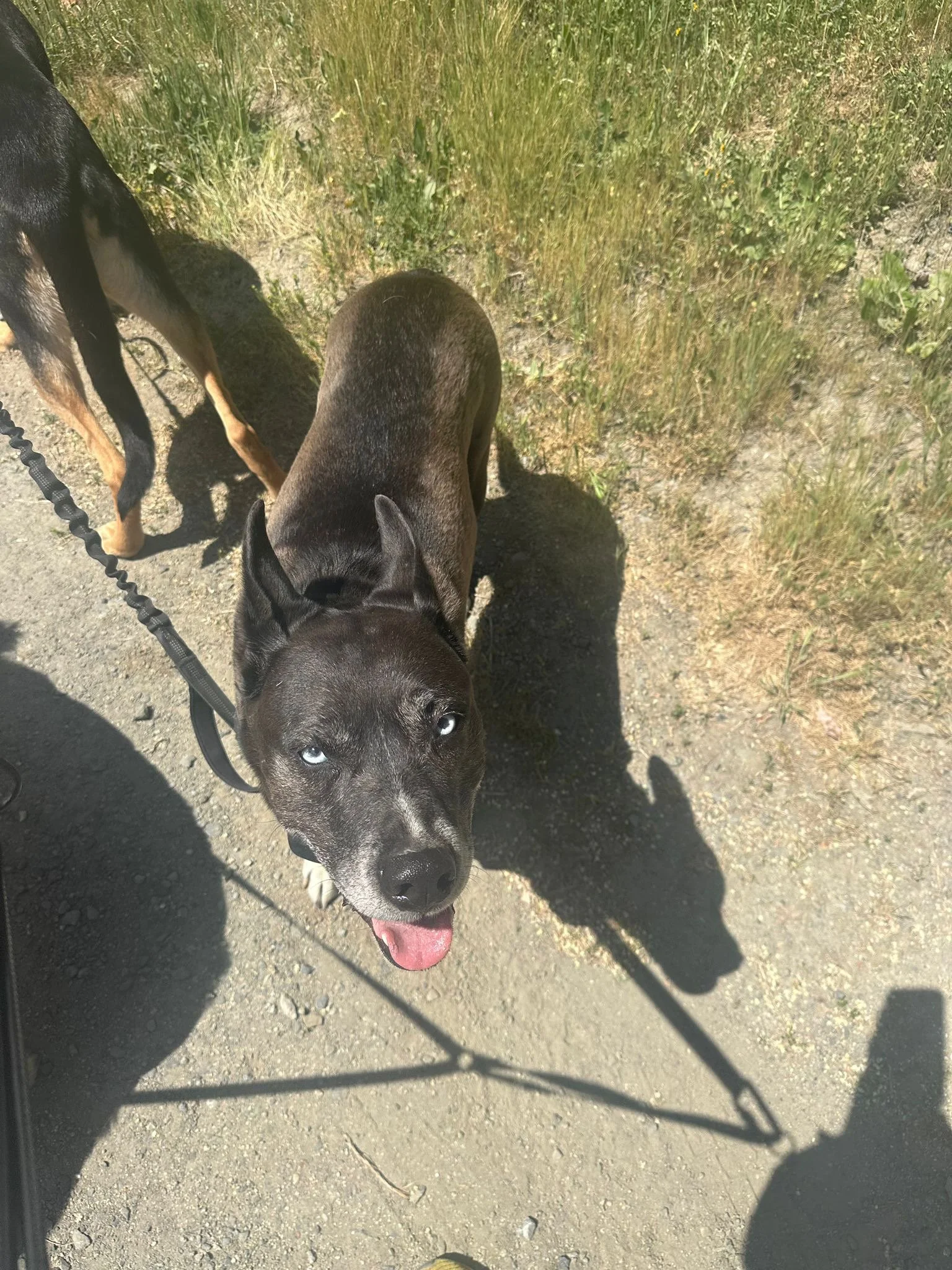 PHOTO-2025-05-07-16-46-34 5.jpeg