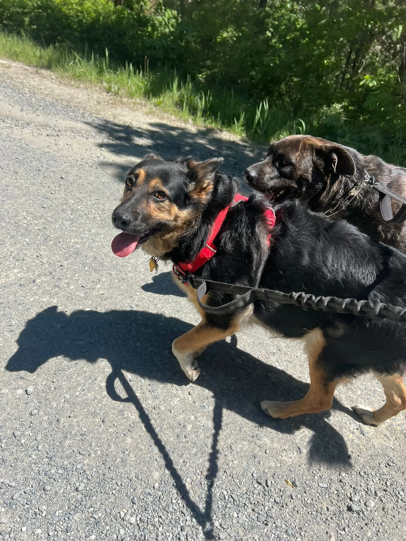 PHOTO-2025-05-07-16-46-34 2.jpeg