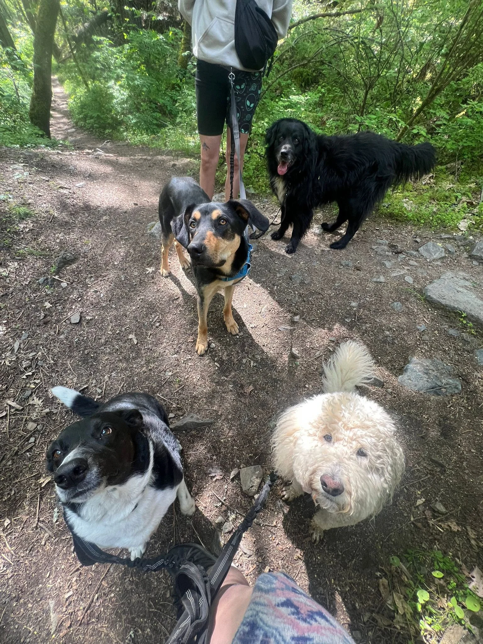 PHOTO-2025-05-07-16-46-33 2.jpeg