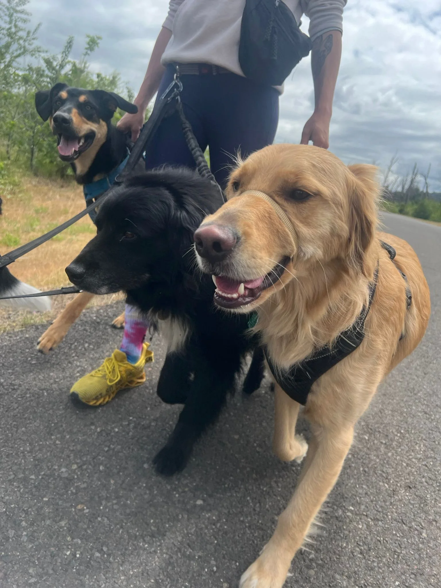 PHOTO-2025-05-15-15-39-10 4.jpeg