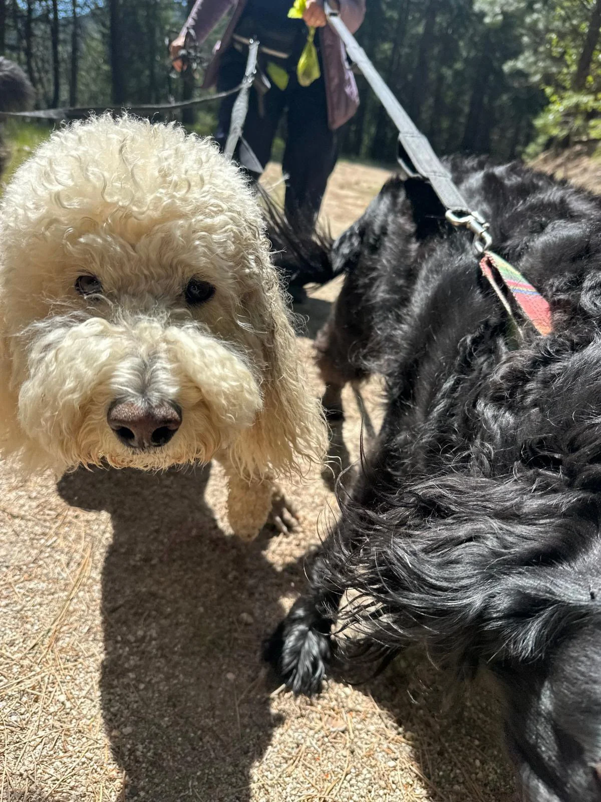 PHOTO-2025-05-03-15-24-11 17.jpeg