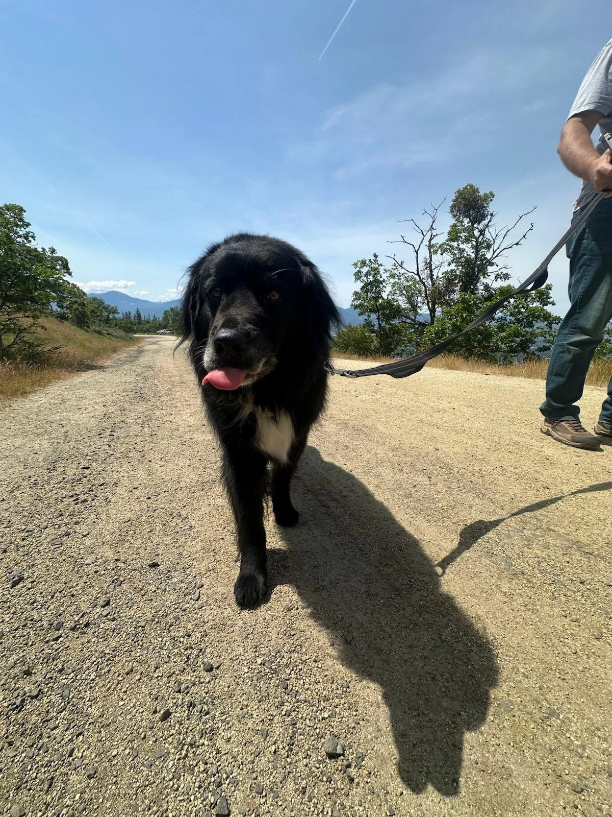 PHOTO-2025-05-16-16-07-22 3.jpeg