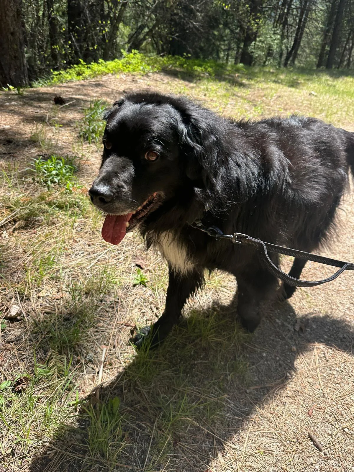 PHOTO-2025-05-03-15-24-11 19.jpeg