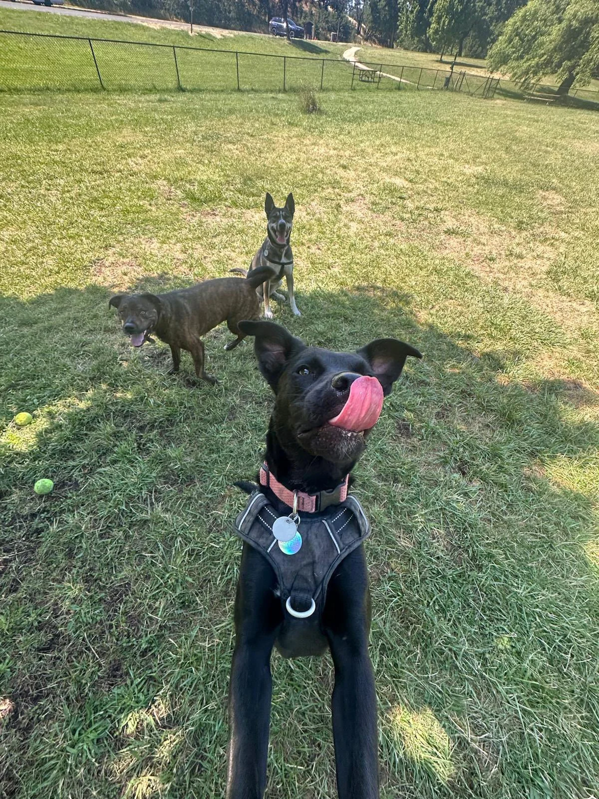 PHOTO-2025-06-05-15-42-22 7.jpeg