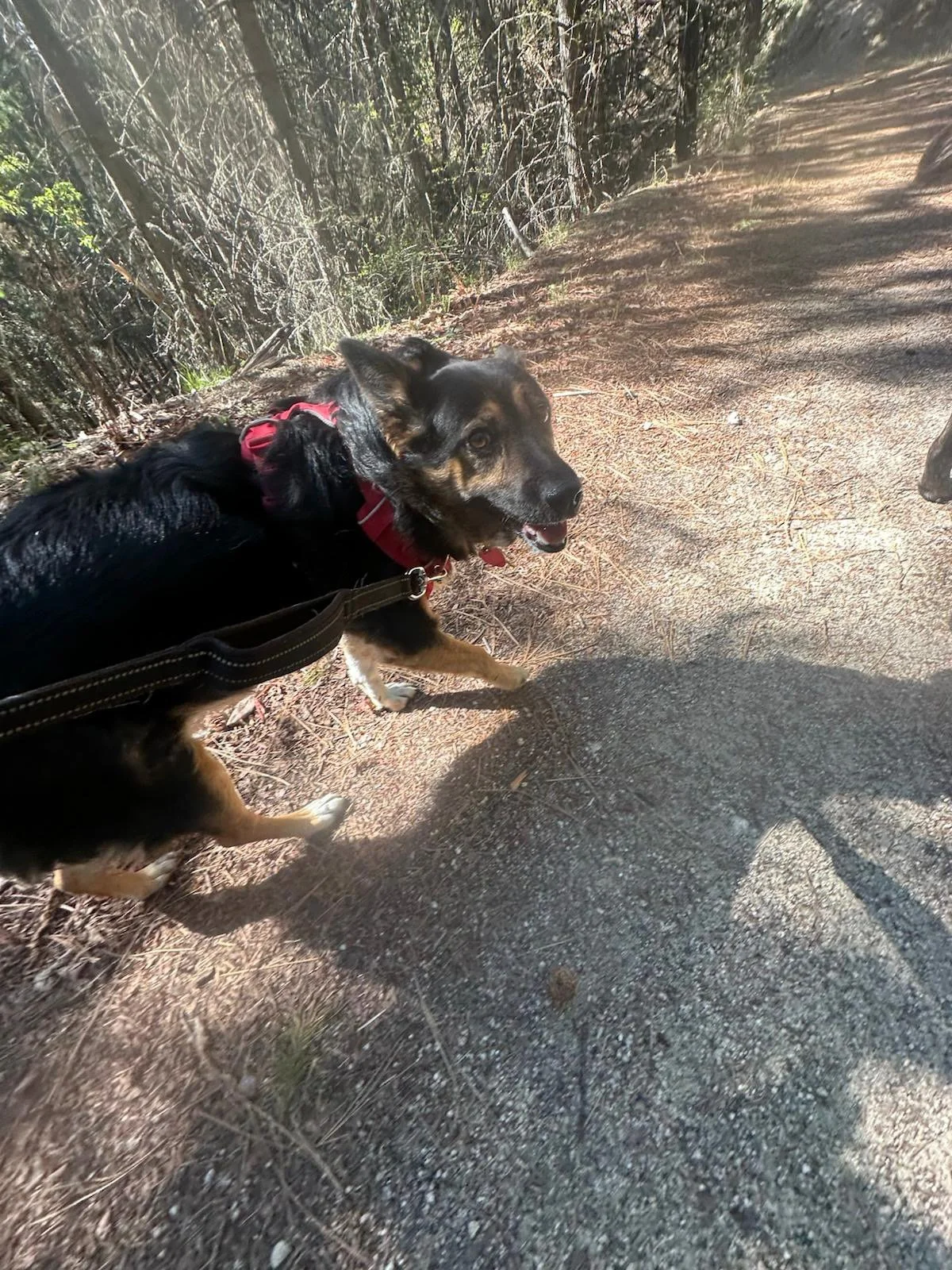 PHOTO-2025-04-30-17-33-10 4.jpeg