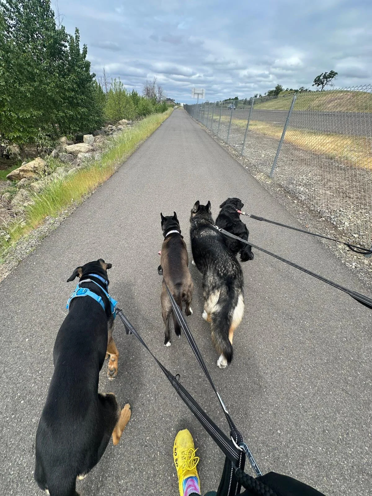 PHOTO-2025-04-30-17-33-45 2.jpeg