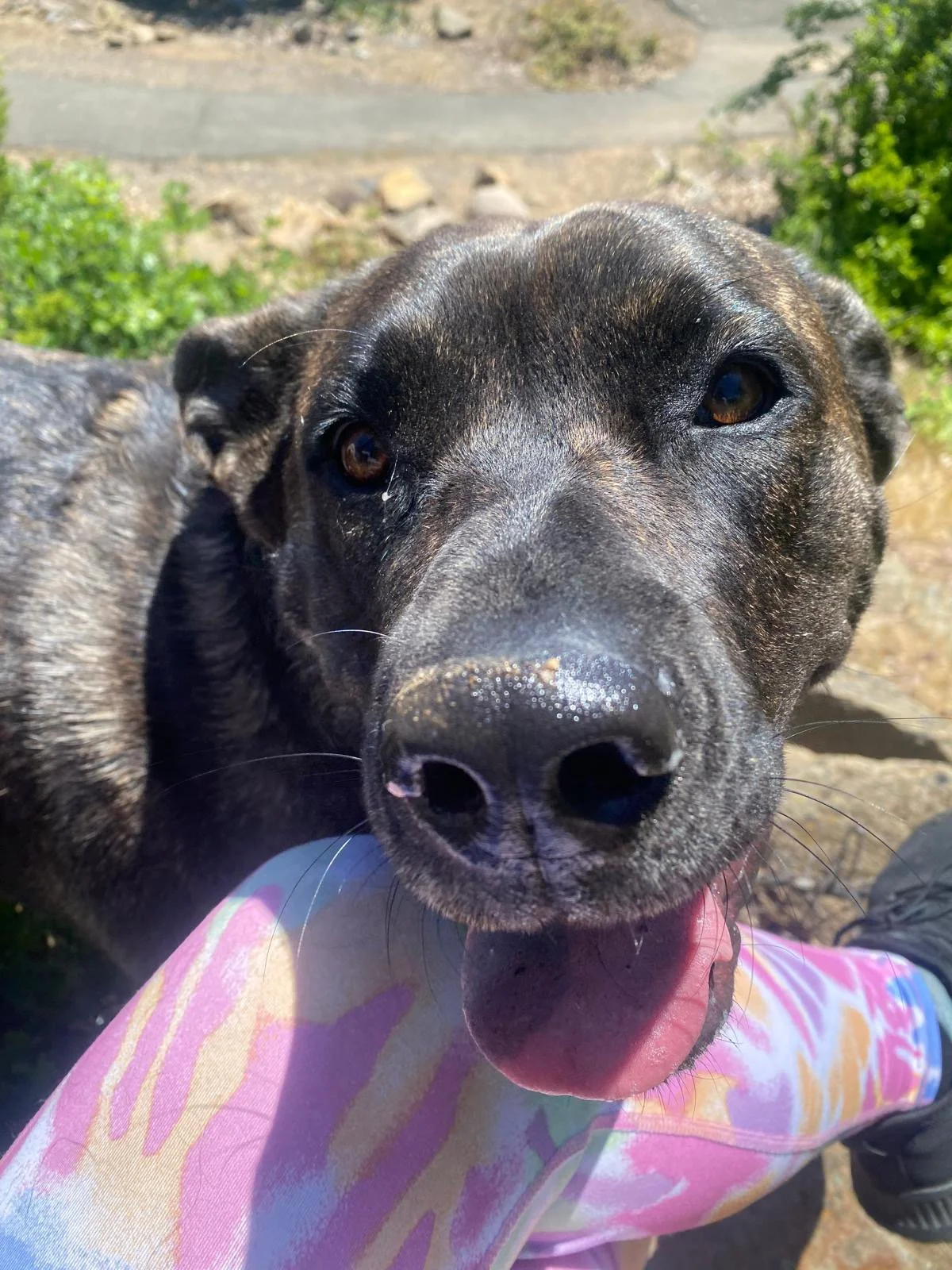 PHOTO-2025-05-22-16-46-11 2.jpeg