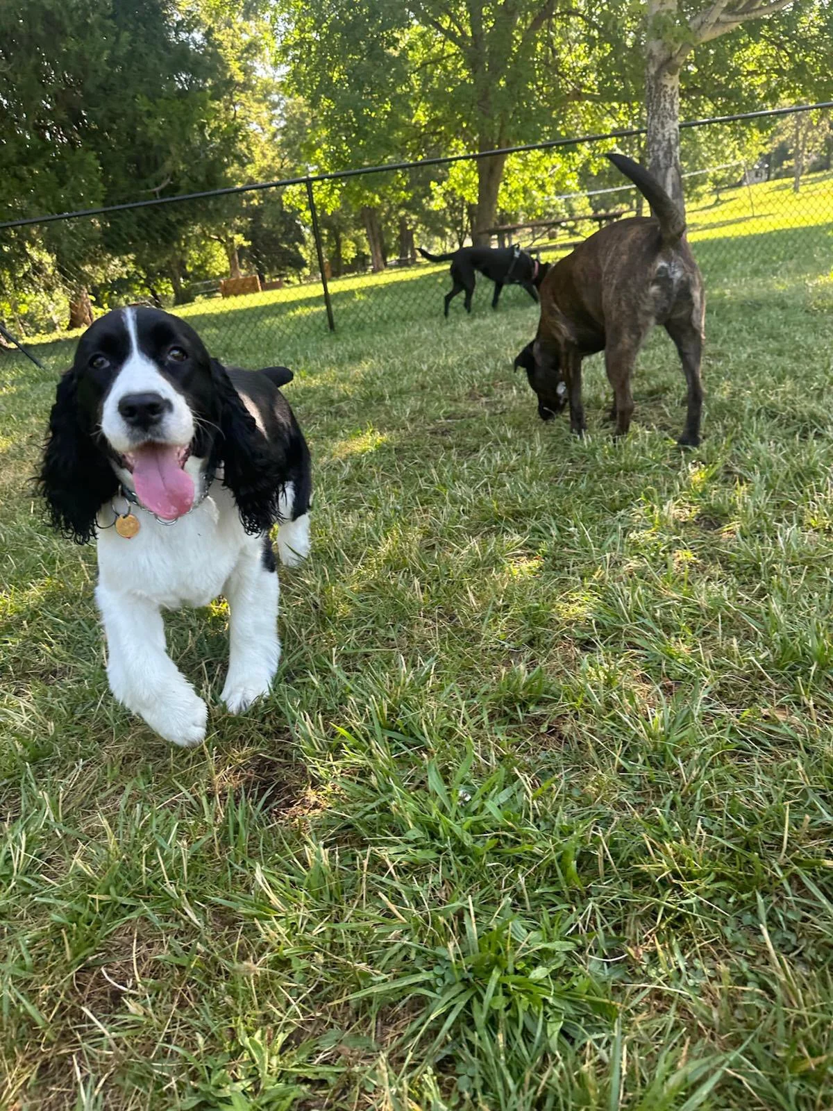 PHOTO-2025-06-05-15-42-21 3.jpeg