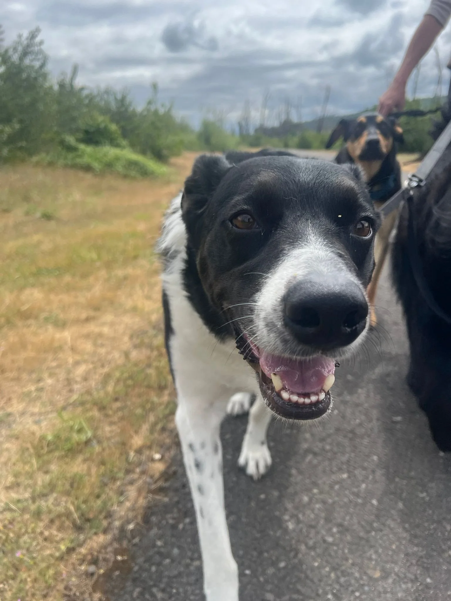 PHOTO-2025-05-15-15-39-10 2.jpeg