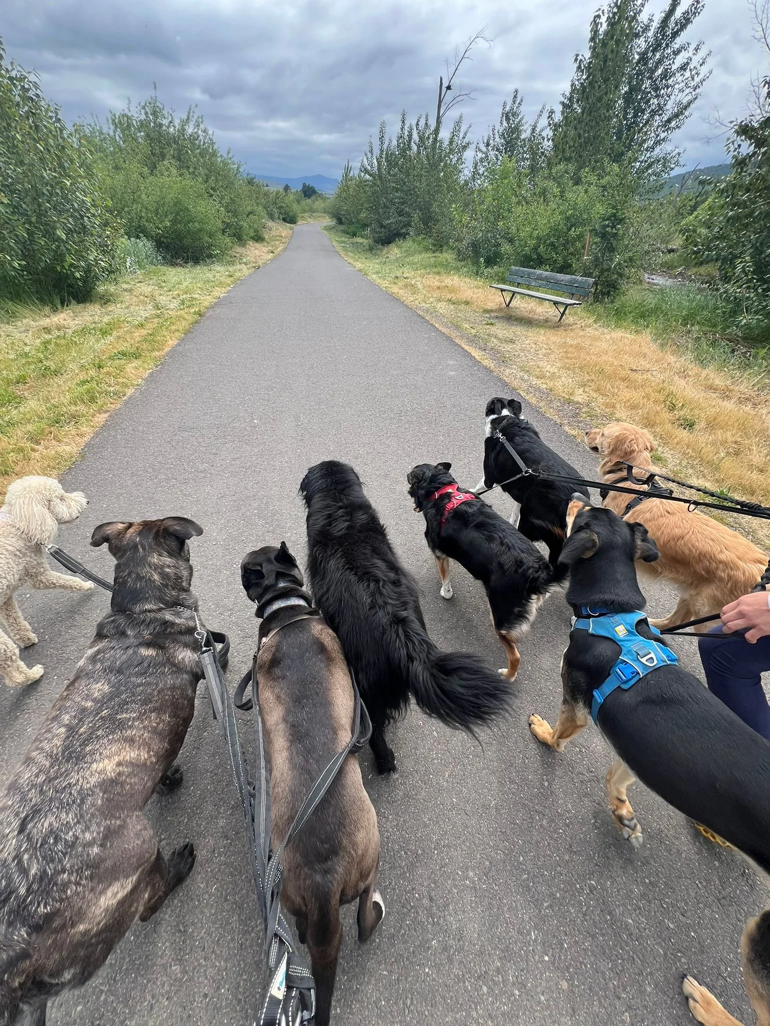 PHOTO-2025-05-15-15-39-10 5.jpeg