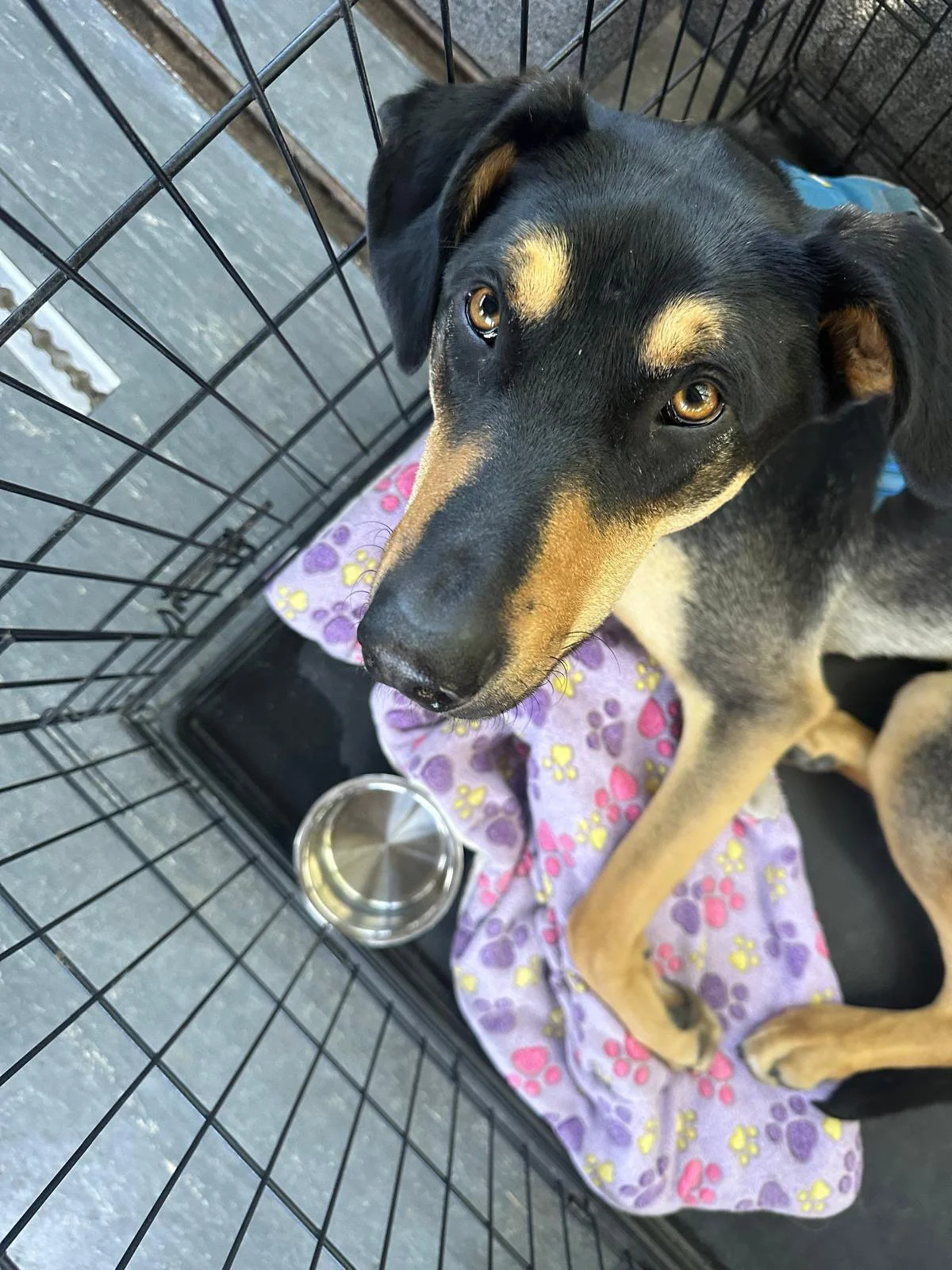 PHOTO-2025-05-22-16-46-11 5.jpeg