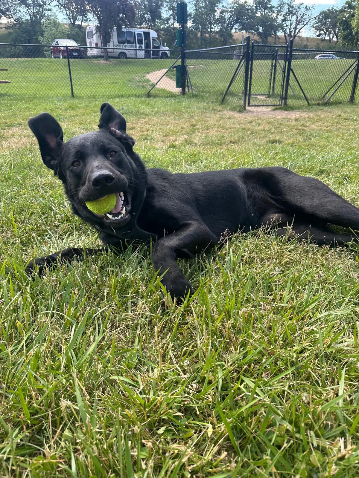 PHOTO-2025-05-20-12-13-41 12.jpeg