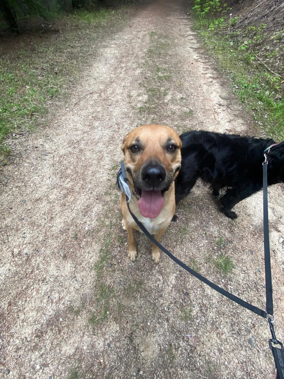 PHOTO-2025-05-23-18-43-10 2.jpeg