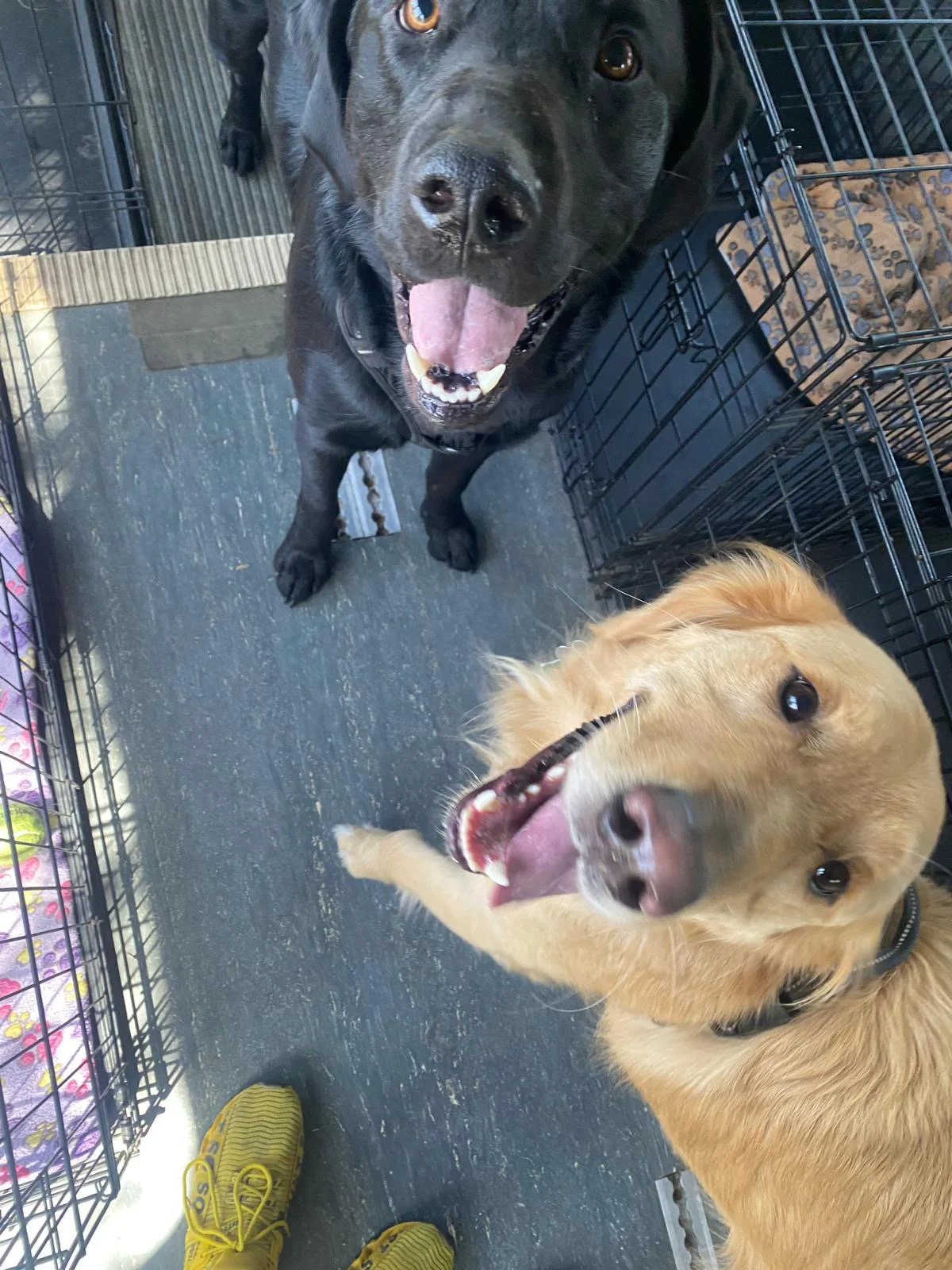 PHOTO-2025-05-05-16-48-23 4.jpeg