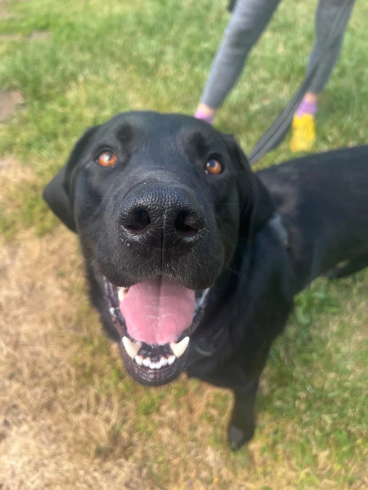 PHOTO-2025-05-20-12-13-41 4.jpeg