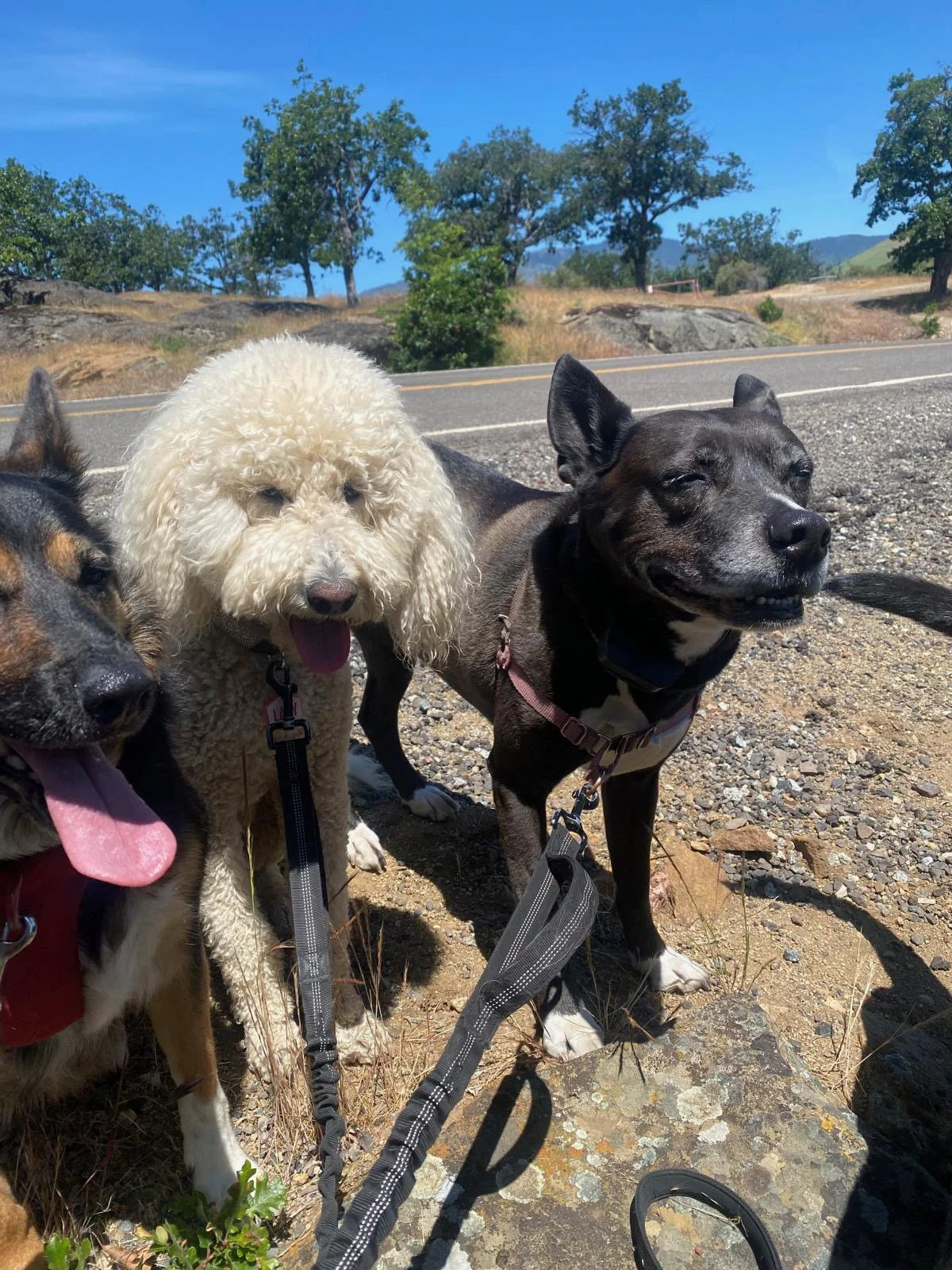 PHOTO-2025-05-22-16-46-10 4.jpeg