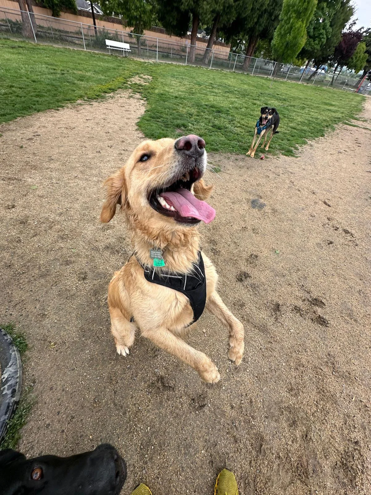 PHOTO-2025-05-19-16-47-23 10.jpeg