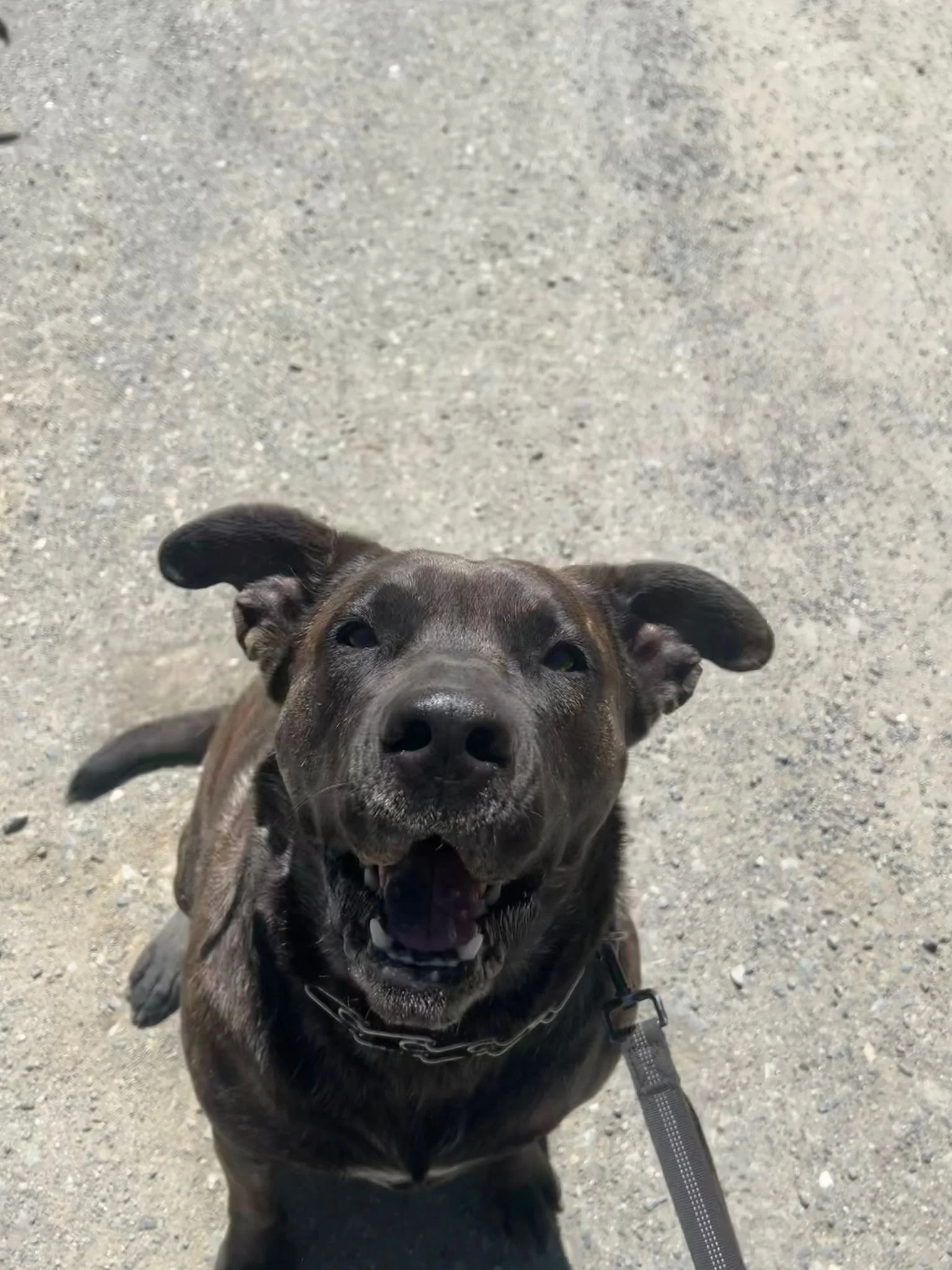 PHOTO-2025-05-07-16-46-34 3.jpeg