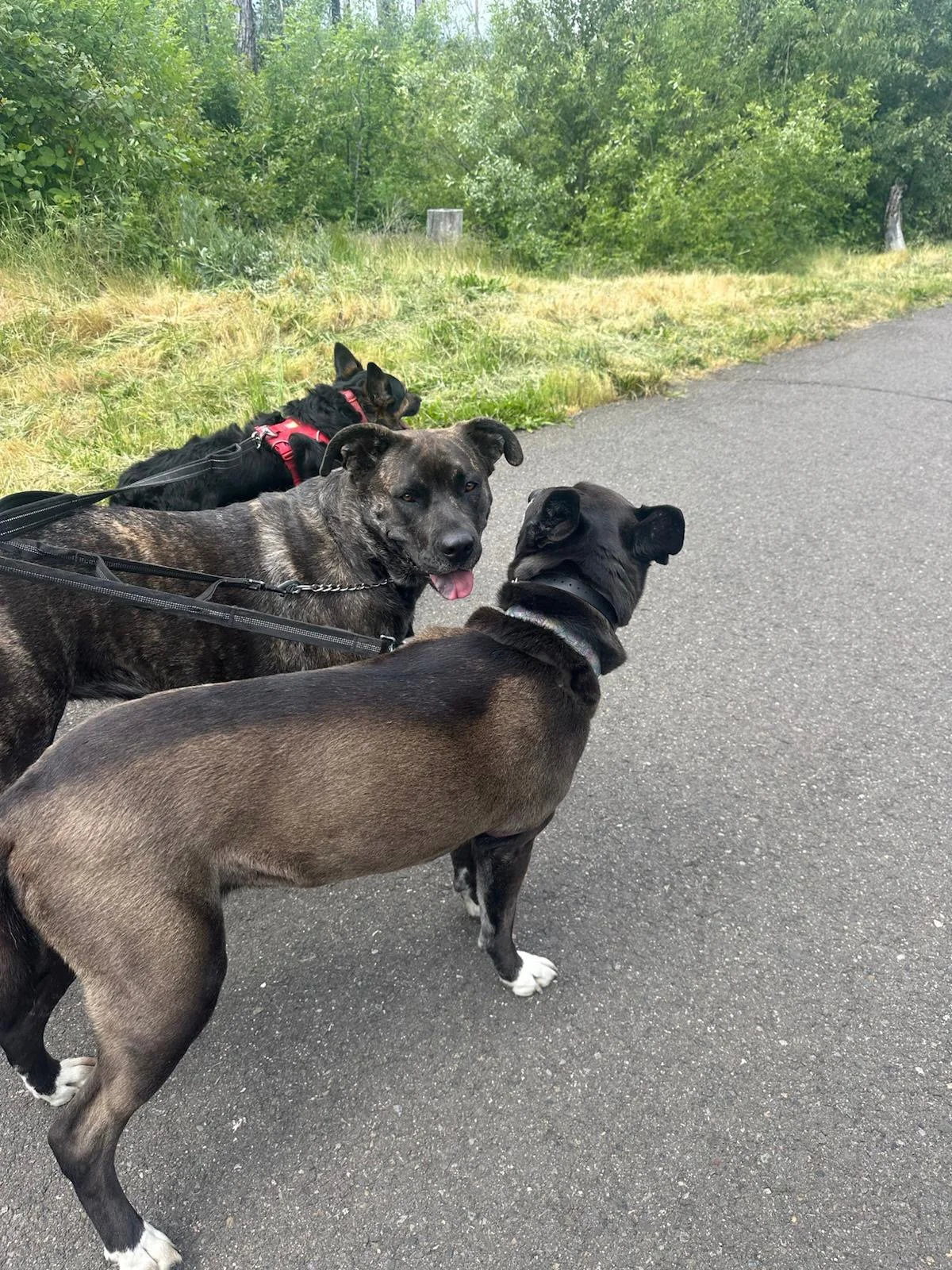 PHOTO-2025-05-15-15-39-53 3.jpeg