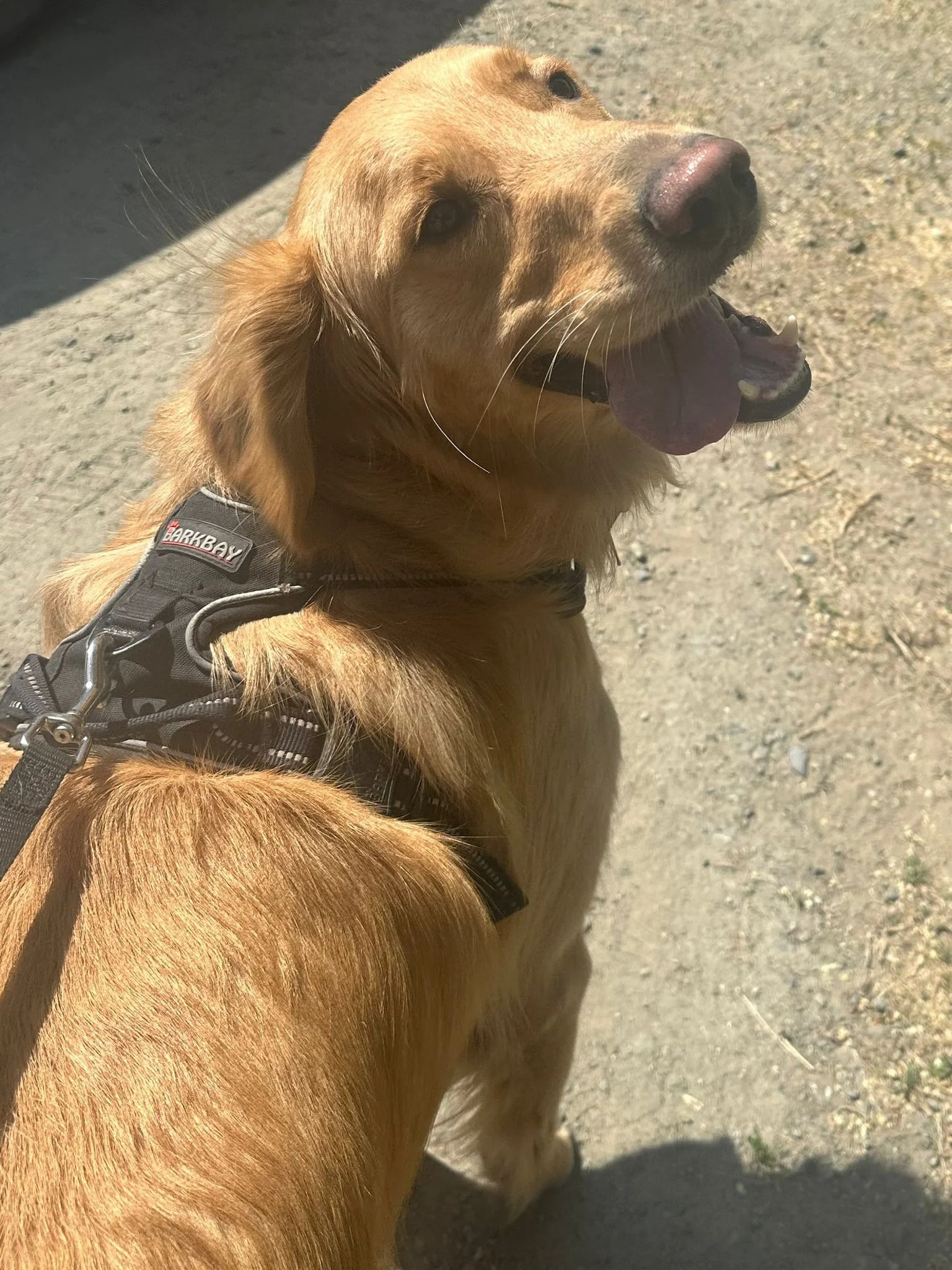 PHOTO-2025-05-07-16-46-34 6.jpeg