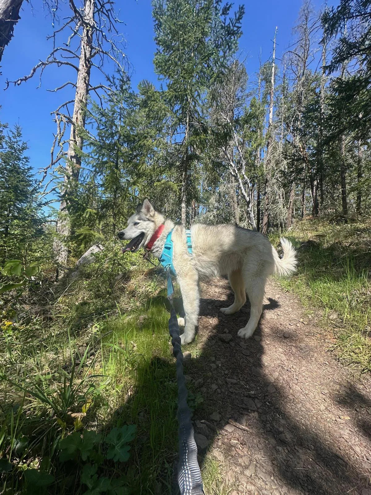 PHOTO-2025-04-30-17-33-01 3.jpeg