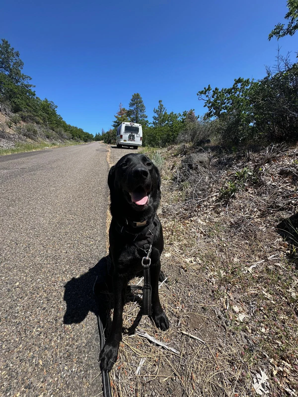 PHOTO-2025-06-03-14-30-34 4.jpeg