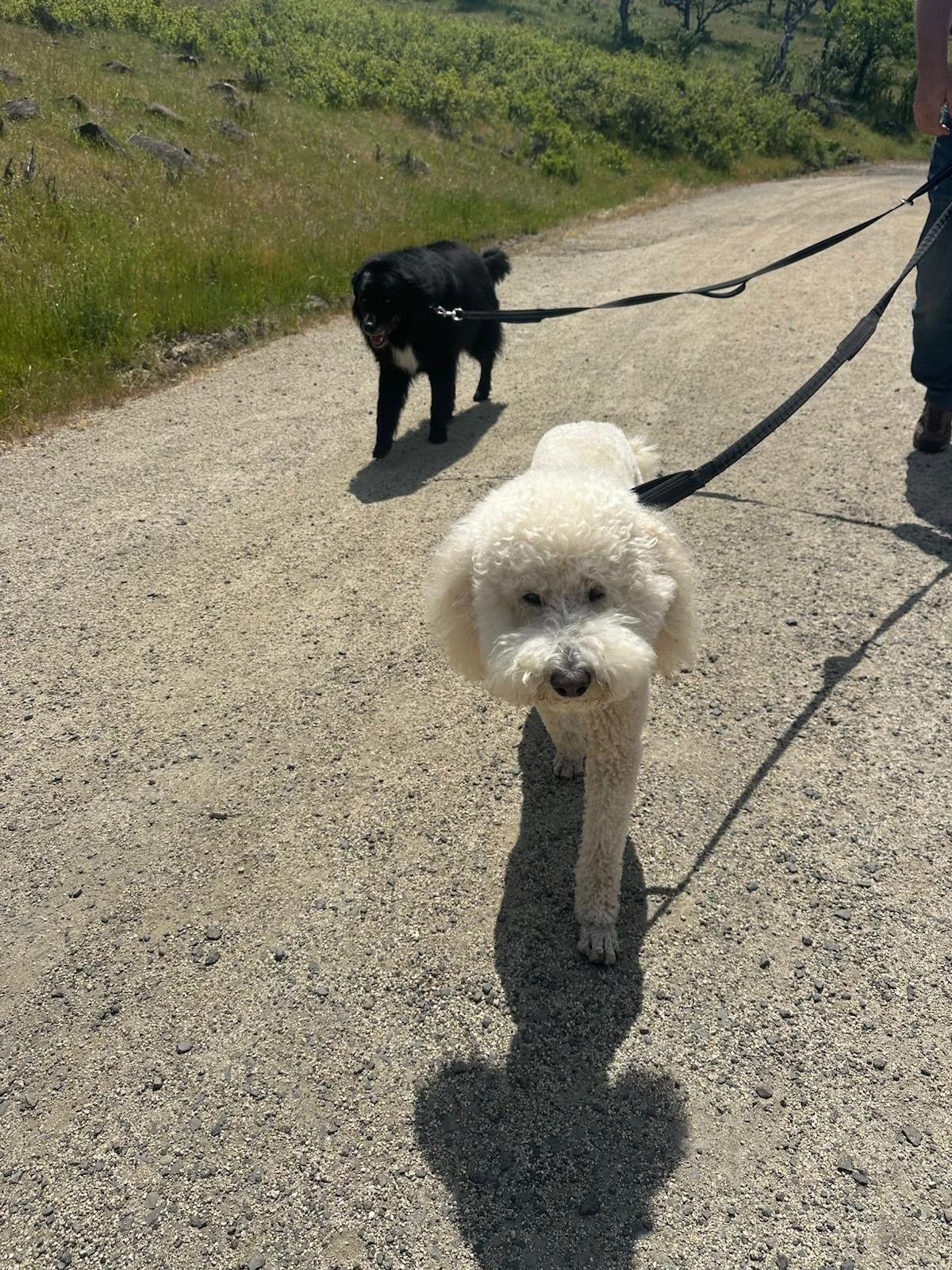 PHOTO-2025-05-16-16-07-21 4.jpeg