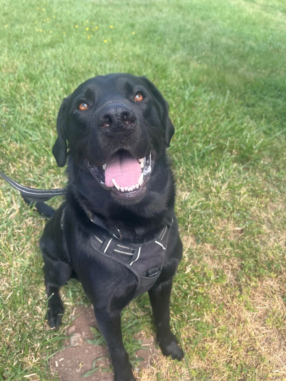 PHOTO-2025-05-20-12-13-41 5.jpeg