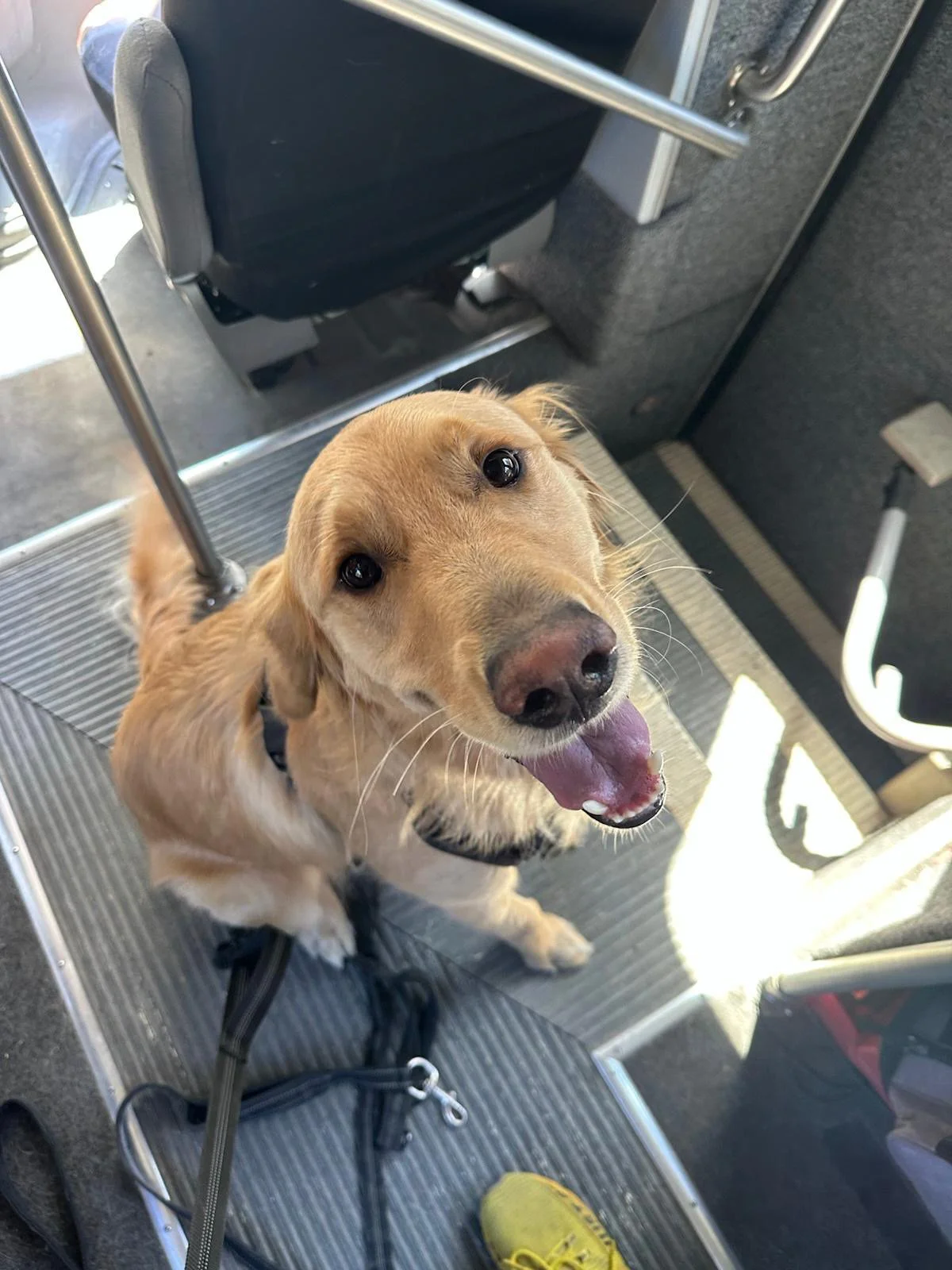 PHOTO-2025-04-30-17-33-10 12.jpeg