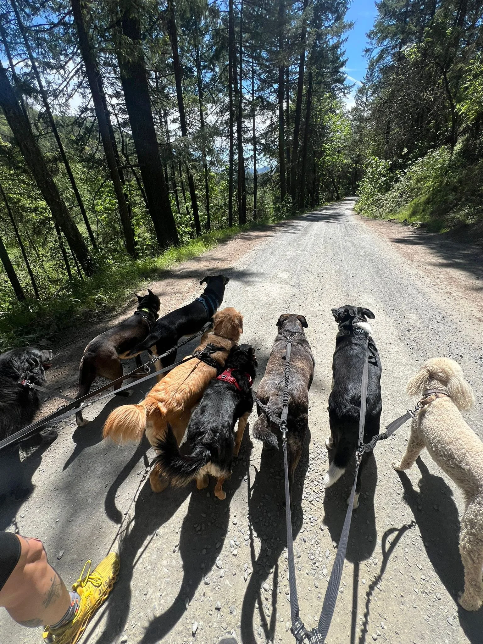 PHOTO-2025-05-07-16-46-33 4.jpeg