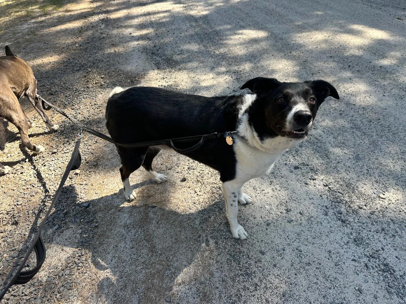 PHOTO-2025-04-30-17-33-10 9.jpeg