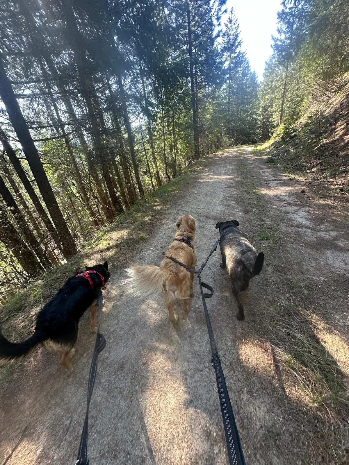 PHOTO-2025-04-30-17-33-10 2.jpeg