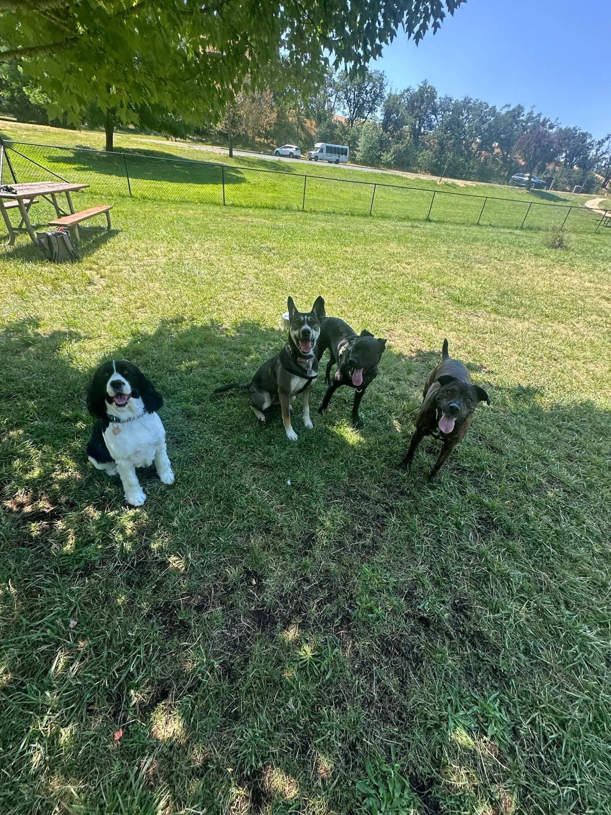 PHOTO-2025-06-05-15-42-22 12.jpeg