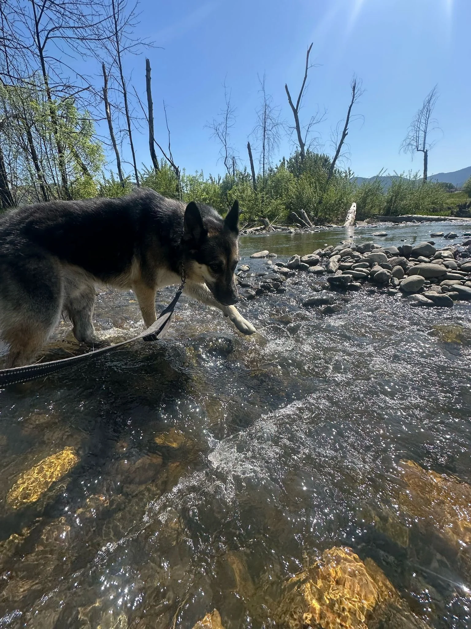 PHOTO-2025-05-01-16-30-57 2.jpeg