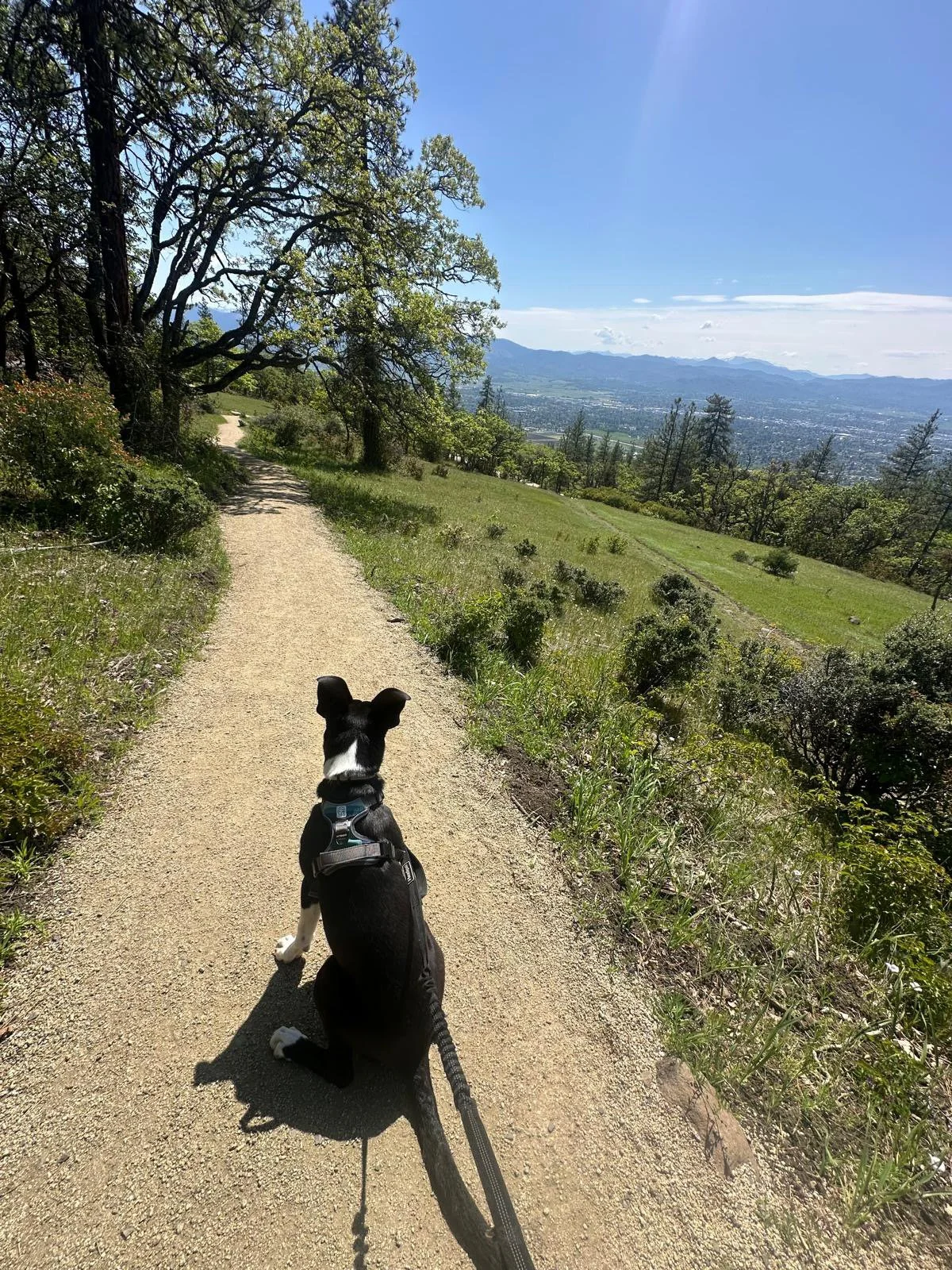 PHOTO-2025-05-03-15-24-12 2.jpeg