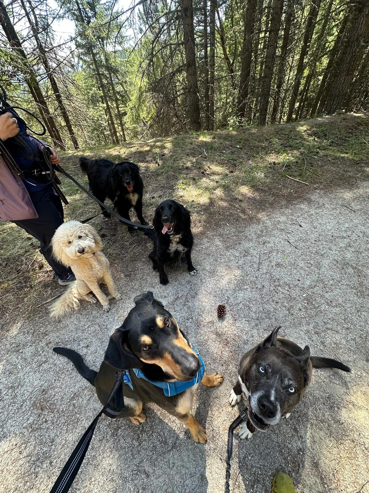 PHOTO-2025-05-03-15-24-11 12.jpeg