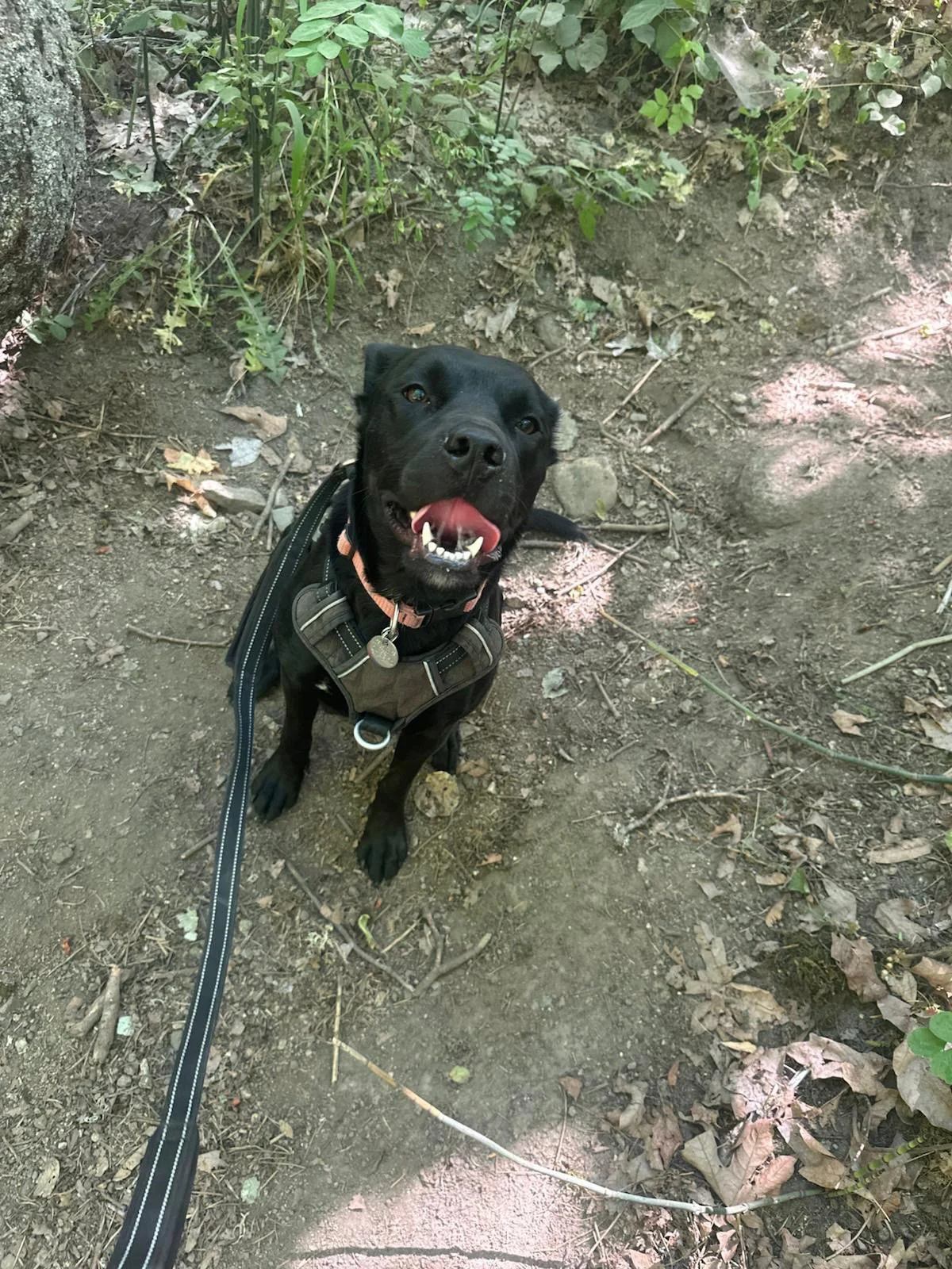 PHOTO-2025-06-11-12-13-53 2.jpeg