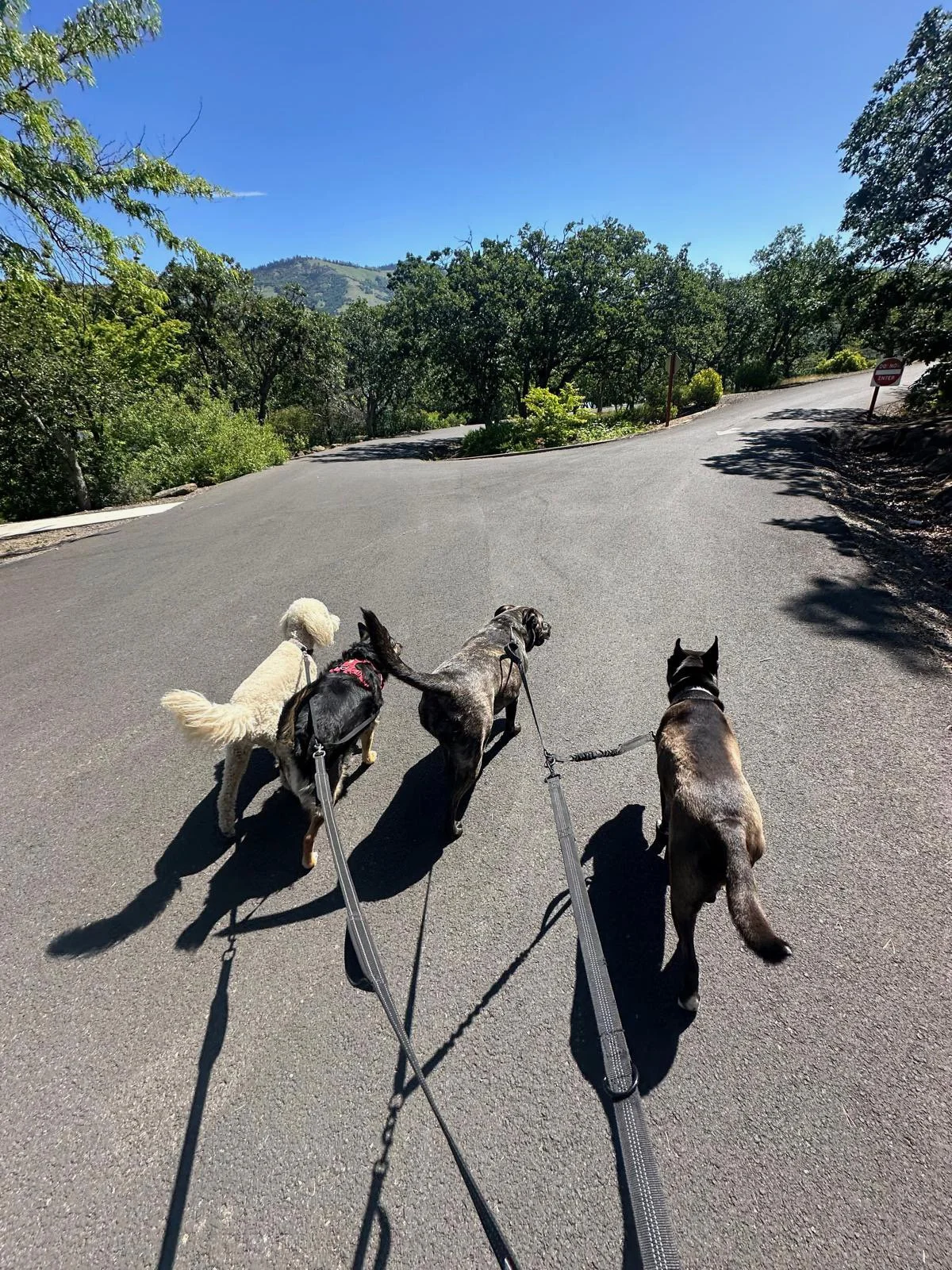 PHOTO-2025-05-22-16-46-11 7.jpeg