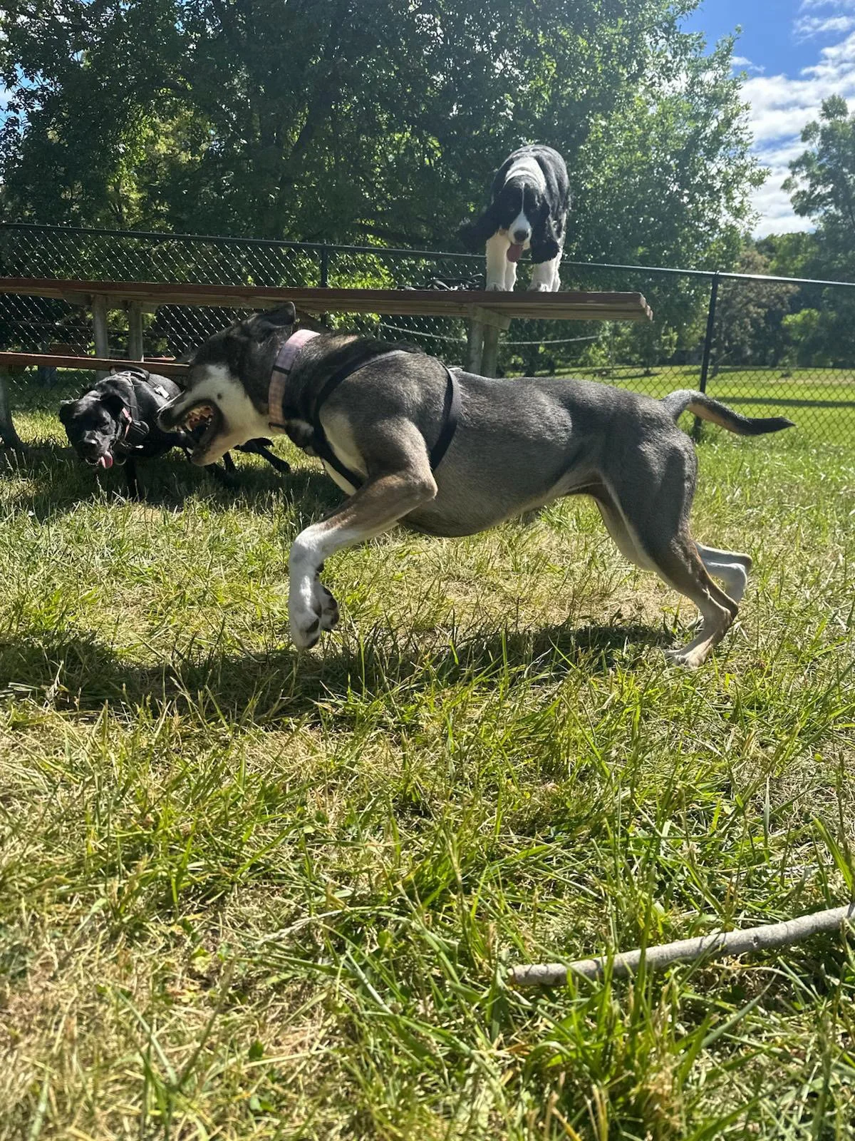 PHOTO-2025-05-22-16-51-35 5.jpeg