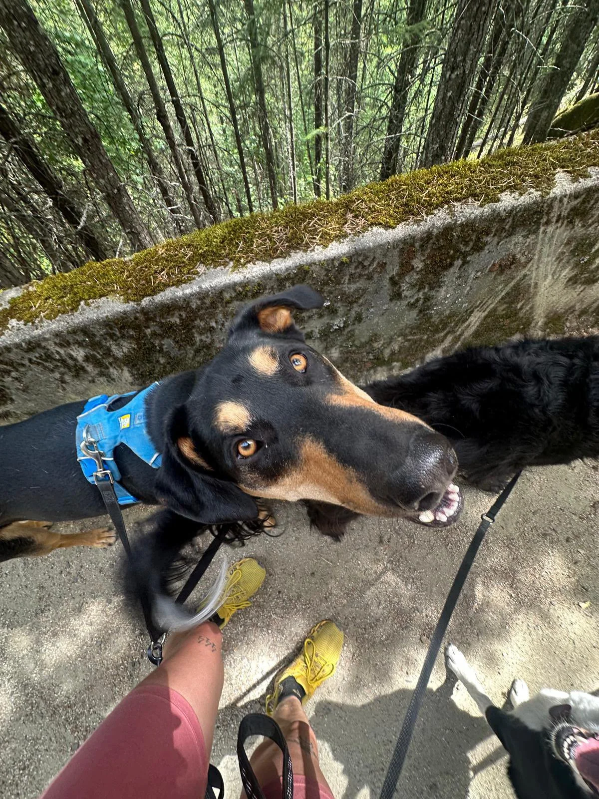 PHOTO-2025-06-06-17-26-23 4.jpeg