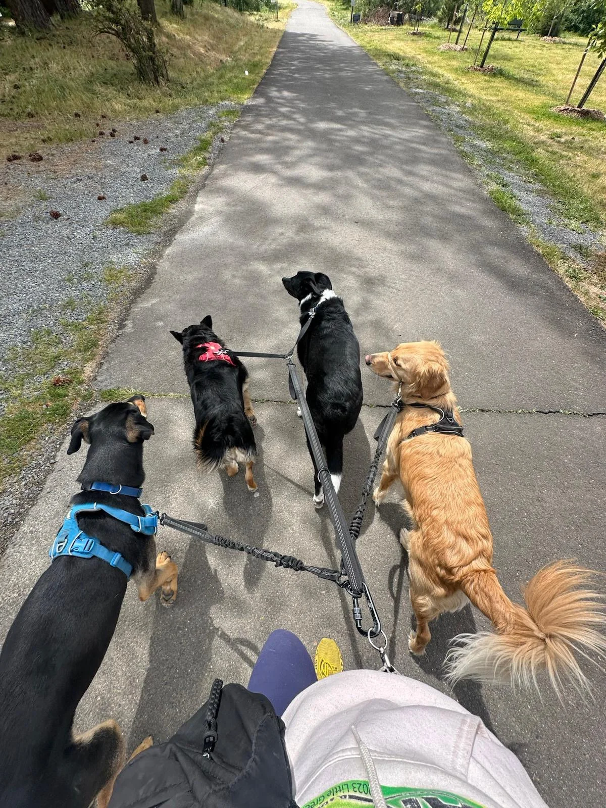 PHOTO-2025-05-15-15-39-53 2.jpeg