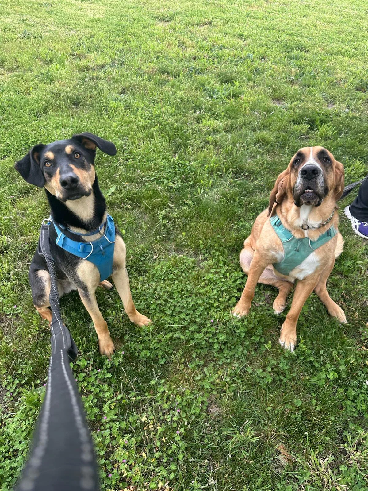 PHOTO-2025-04-30-17-33-45 7.jpeg