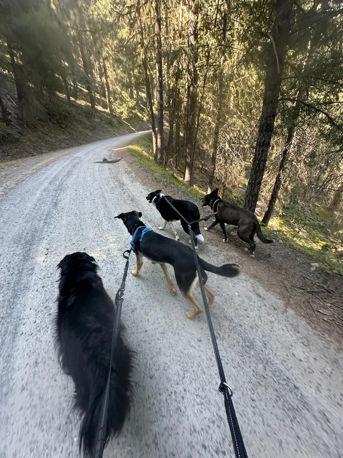 PHOTO-2025-04-30-17-33-10 6.jpeg