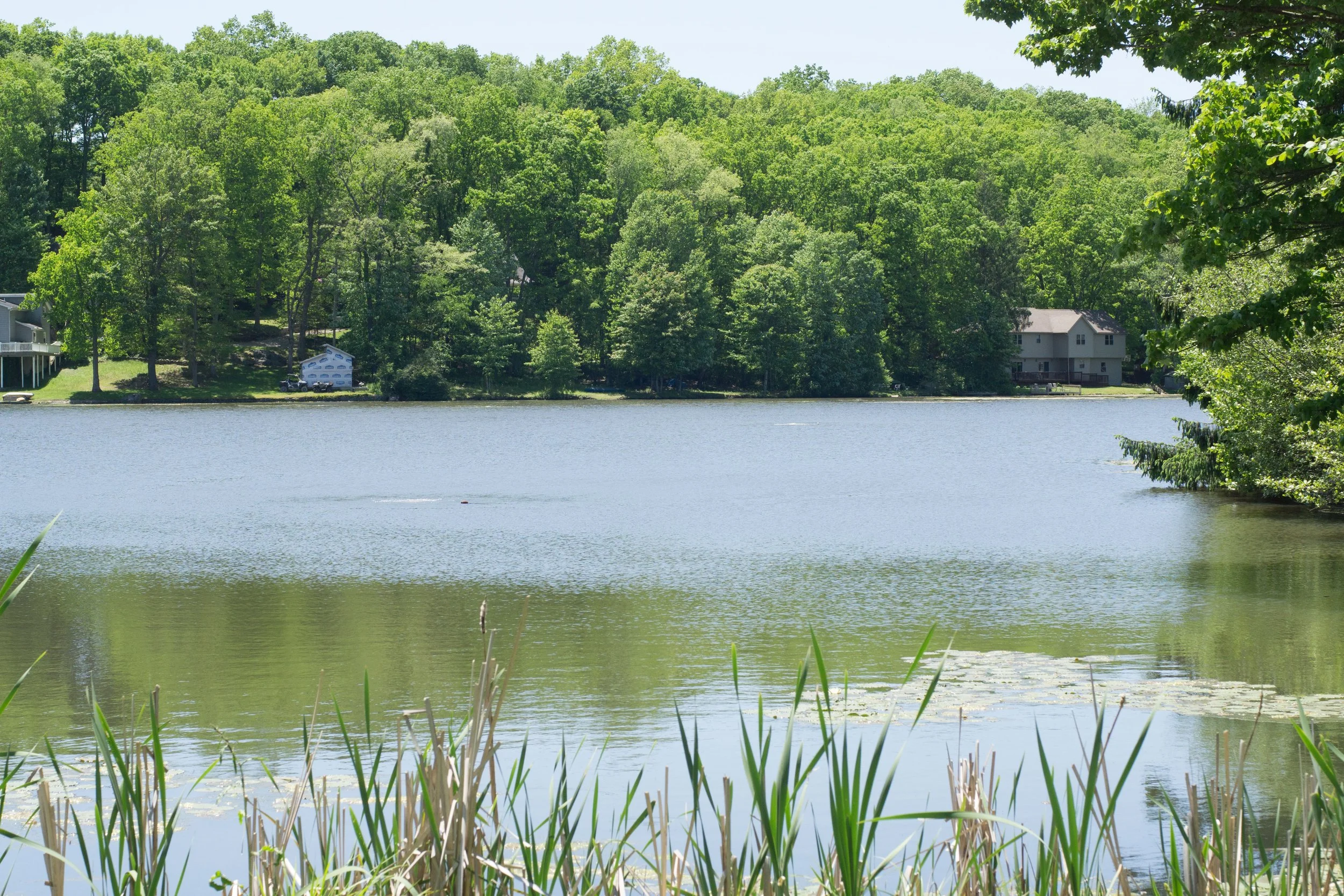 Paradise Lake Property Owners Association