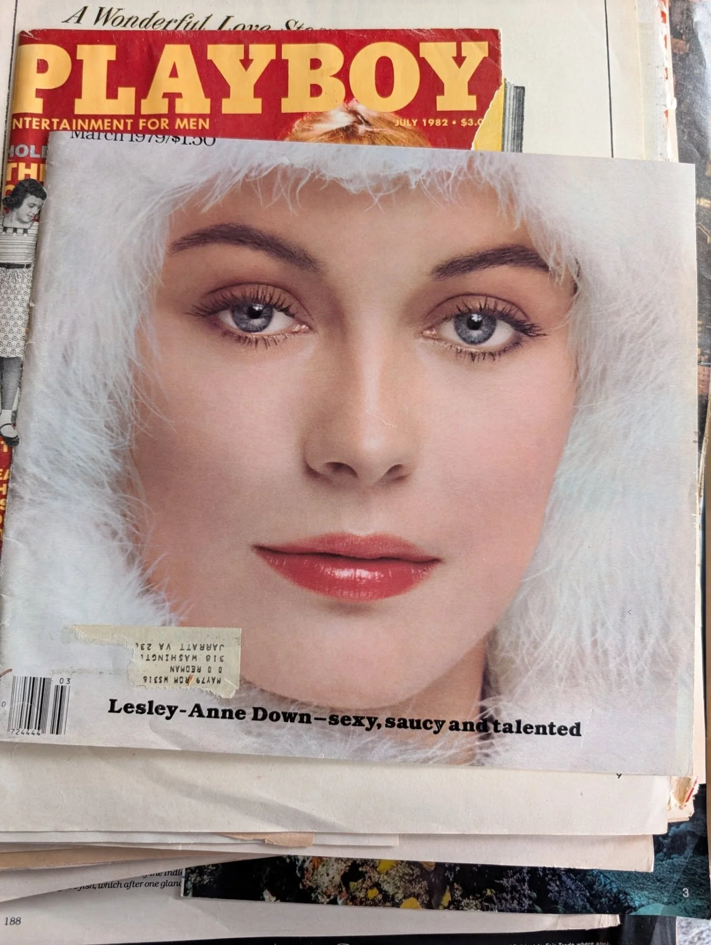 Some vintage looks to keep you cozy during this snow storm ❄️ hope everyone stays bundled up ❤️ 

I'm taking the time to bunker down and get my februllage "piles of potential" ready for next week. For some I have 10 ideas and others I have 