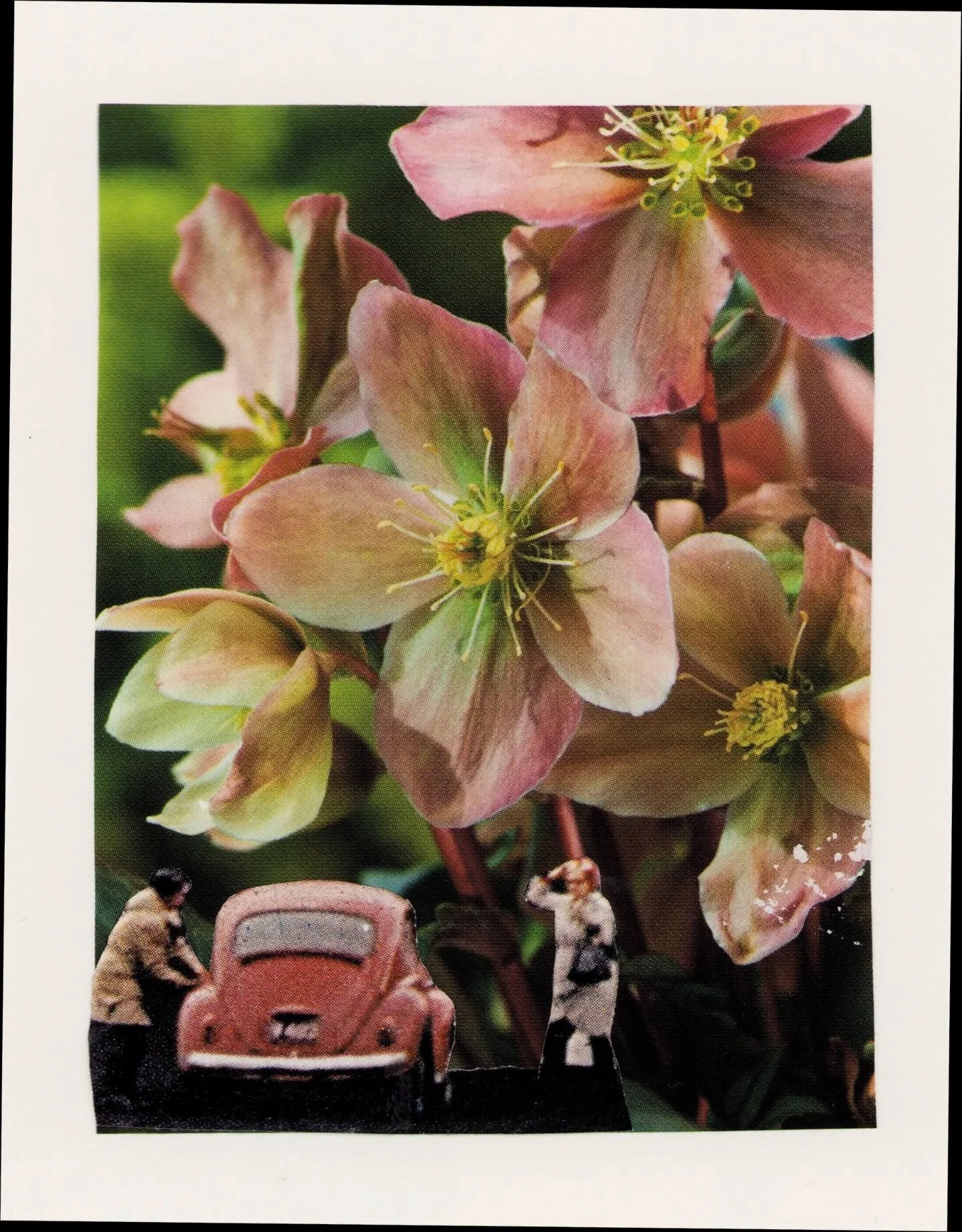 #februllage2026 DAY 11 PROMPT: PLANT 🌱🌹

Here are some works that also fit this prompt. When first approaching the prompt, I had to decide if I wanted to go nuclear plant, or mother nature plant. 
They are two entirely different directions!