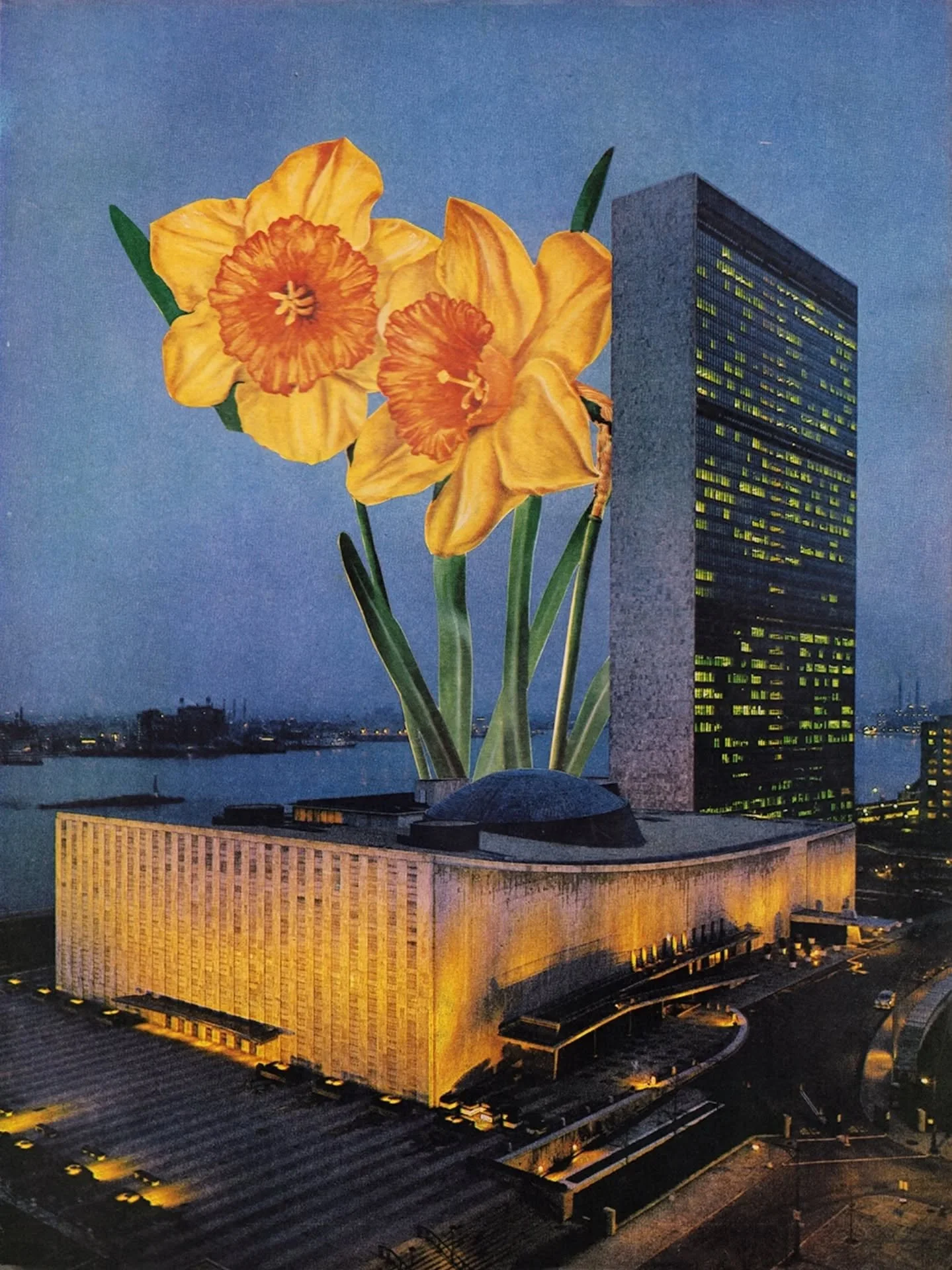 #februllage prompt: daffodil 🌼