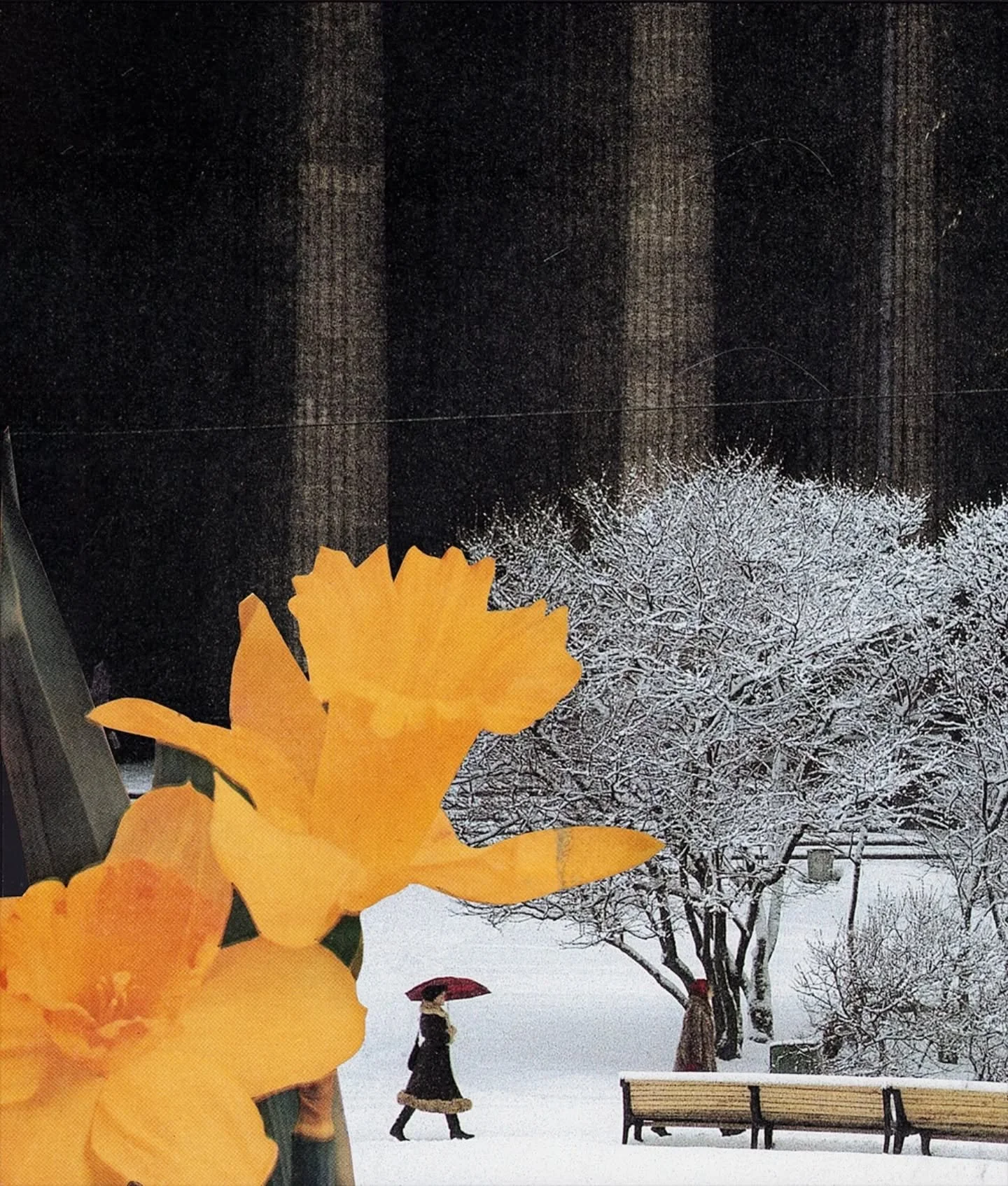 #februllage2026 DAY 2 PROMPT: DAFFODIL 🌼

#februllage